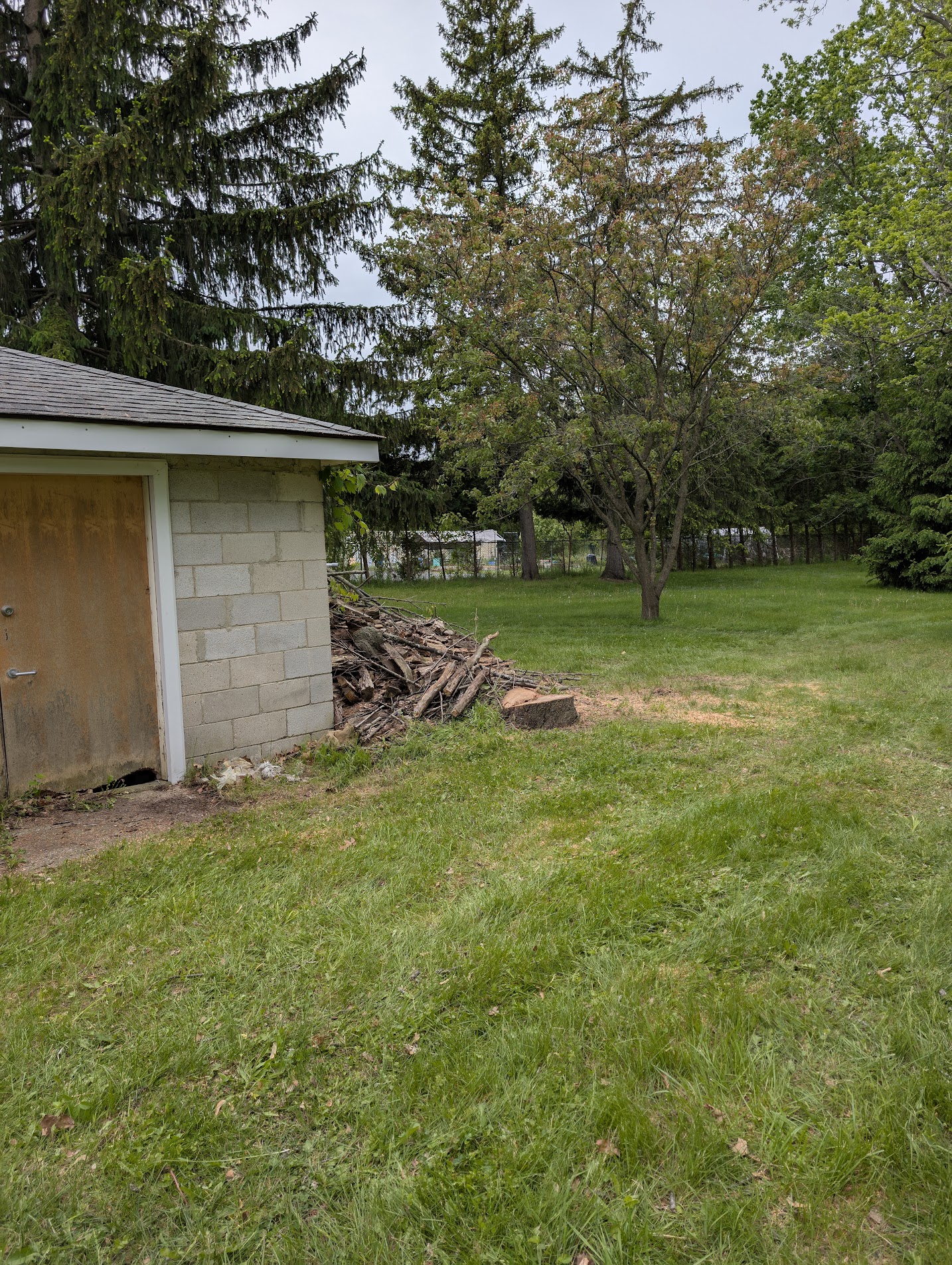 Property Cleanout