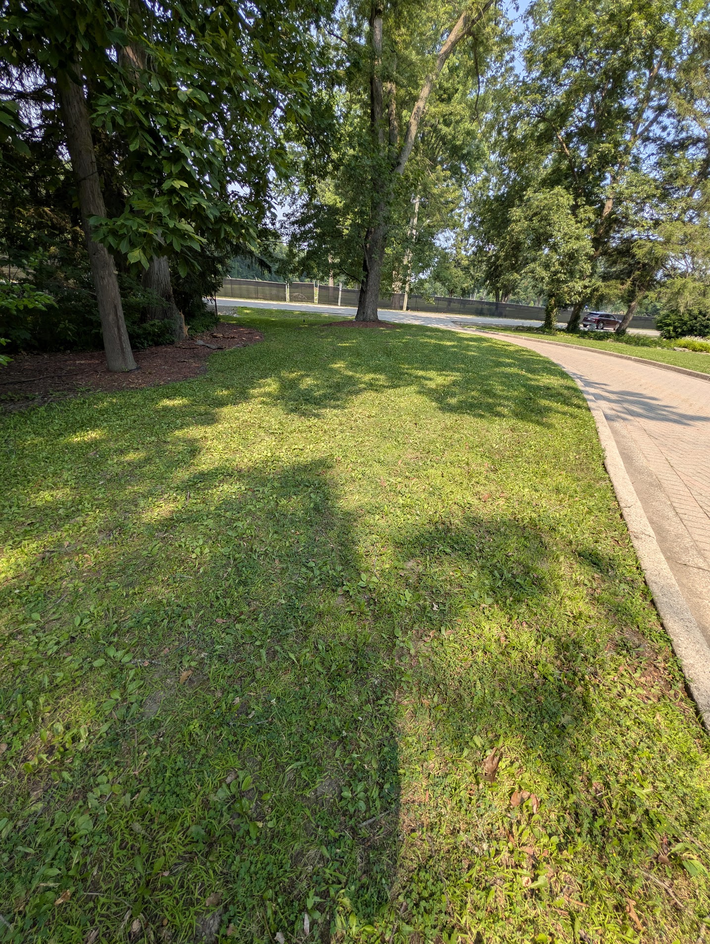 Property Maintenance
